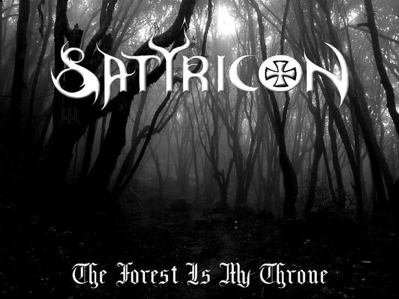 Dark Forest with Trees