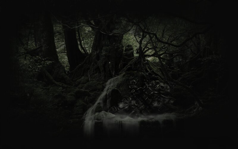 Dark forest with waterfall