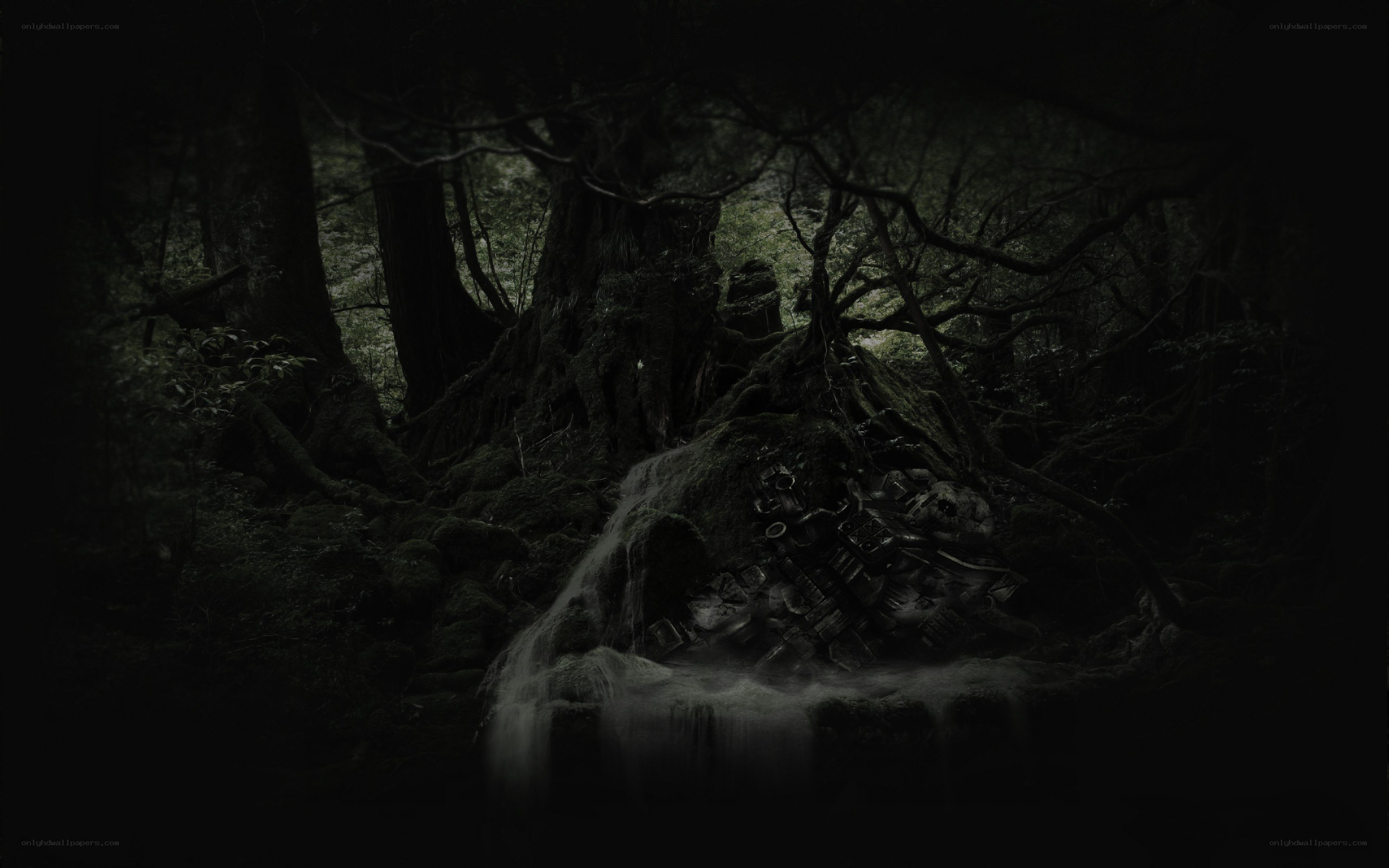 Dark forest with waterfall