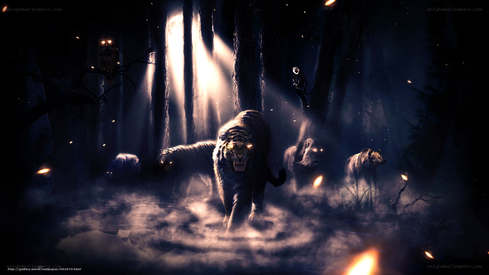 Dark forest with wild animals