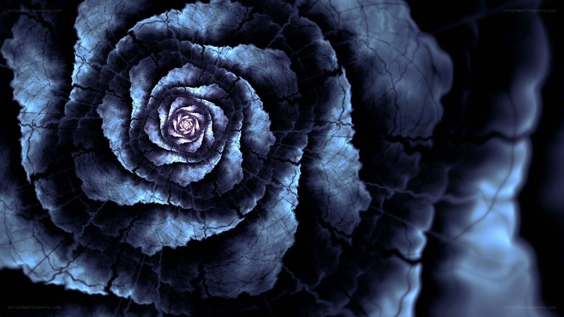 dark fractal rose spiral