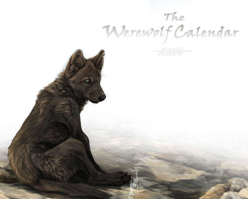 Dark-furred Wolf Cub