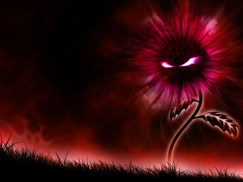 dark glowing flower