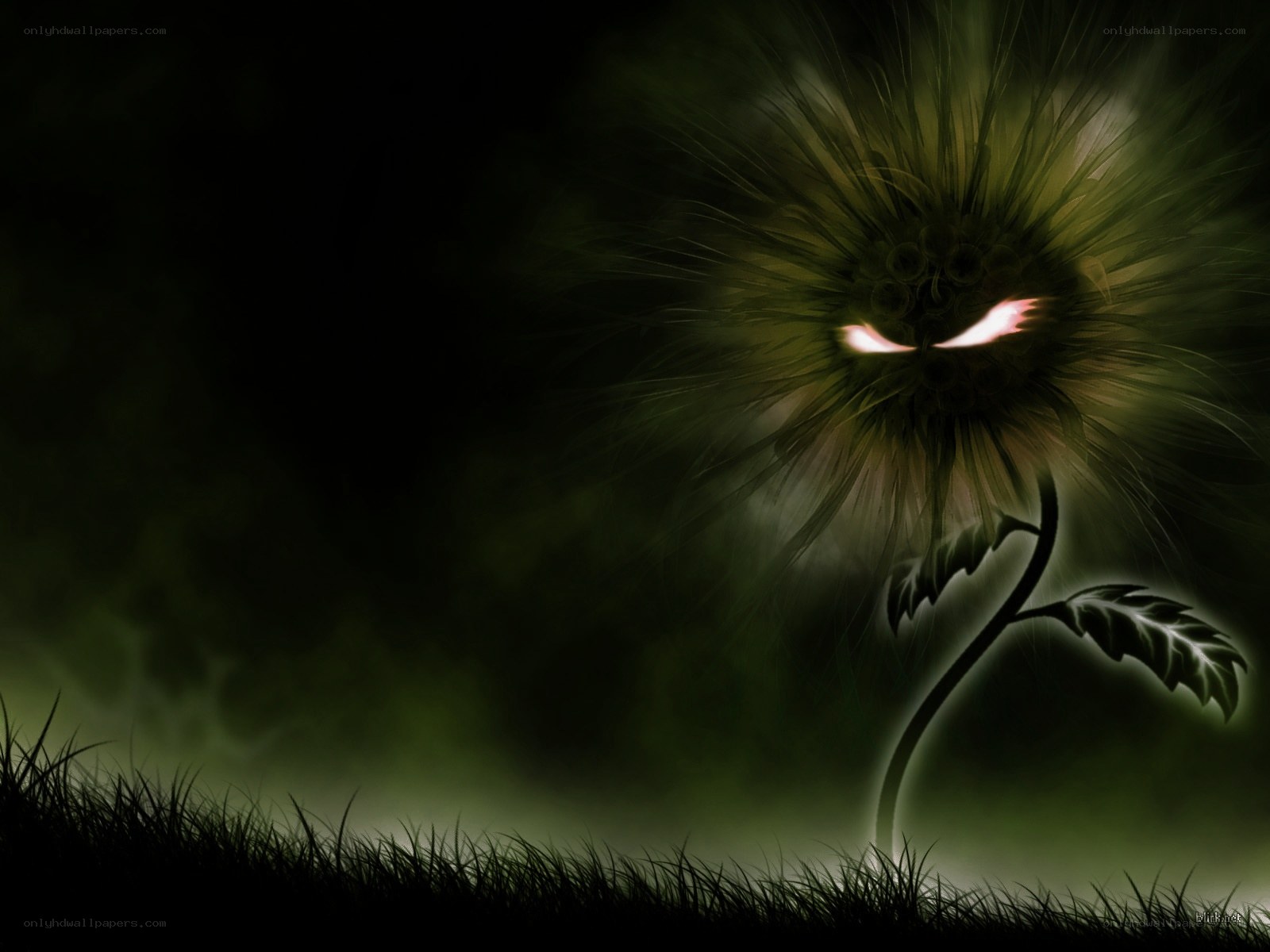 Dark glowing flower with eyes
