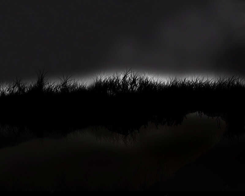 dark grass silhouette at night