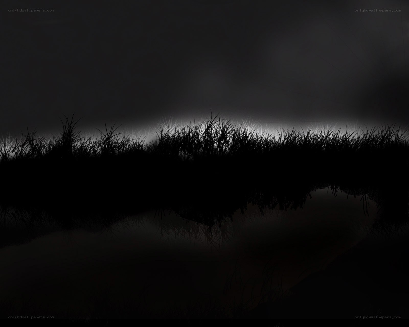 dark grass silhouette at night