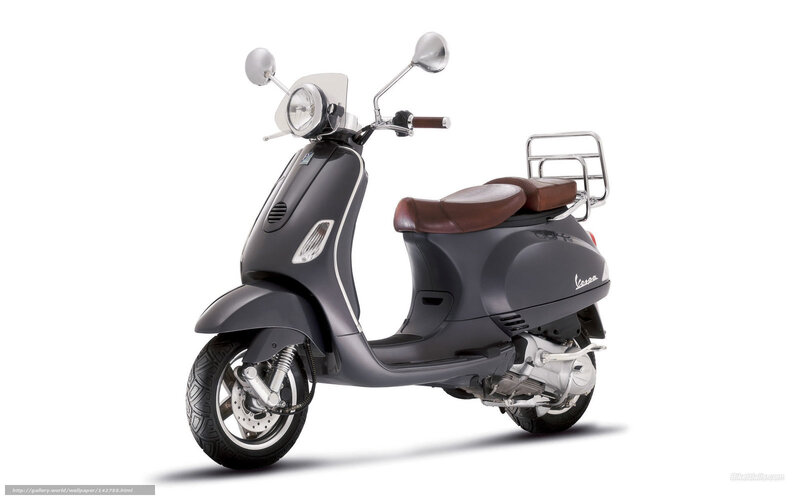 Dark Gray Scooter — Neutral