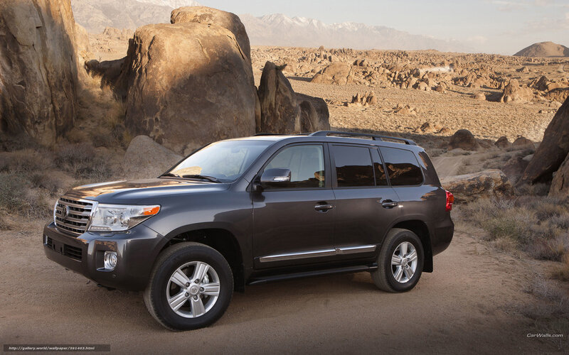 Dark Gray Suv — Dramatic, Afternoon