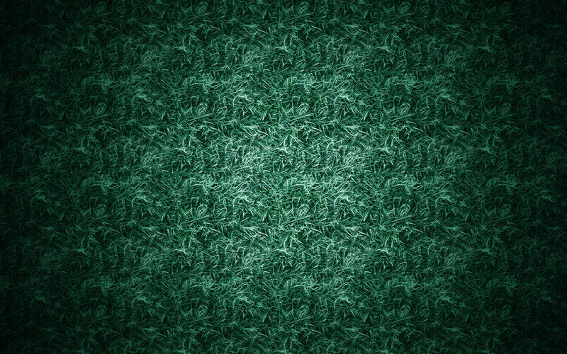 dark green grass texture