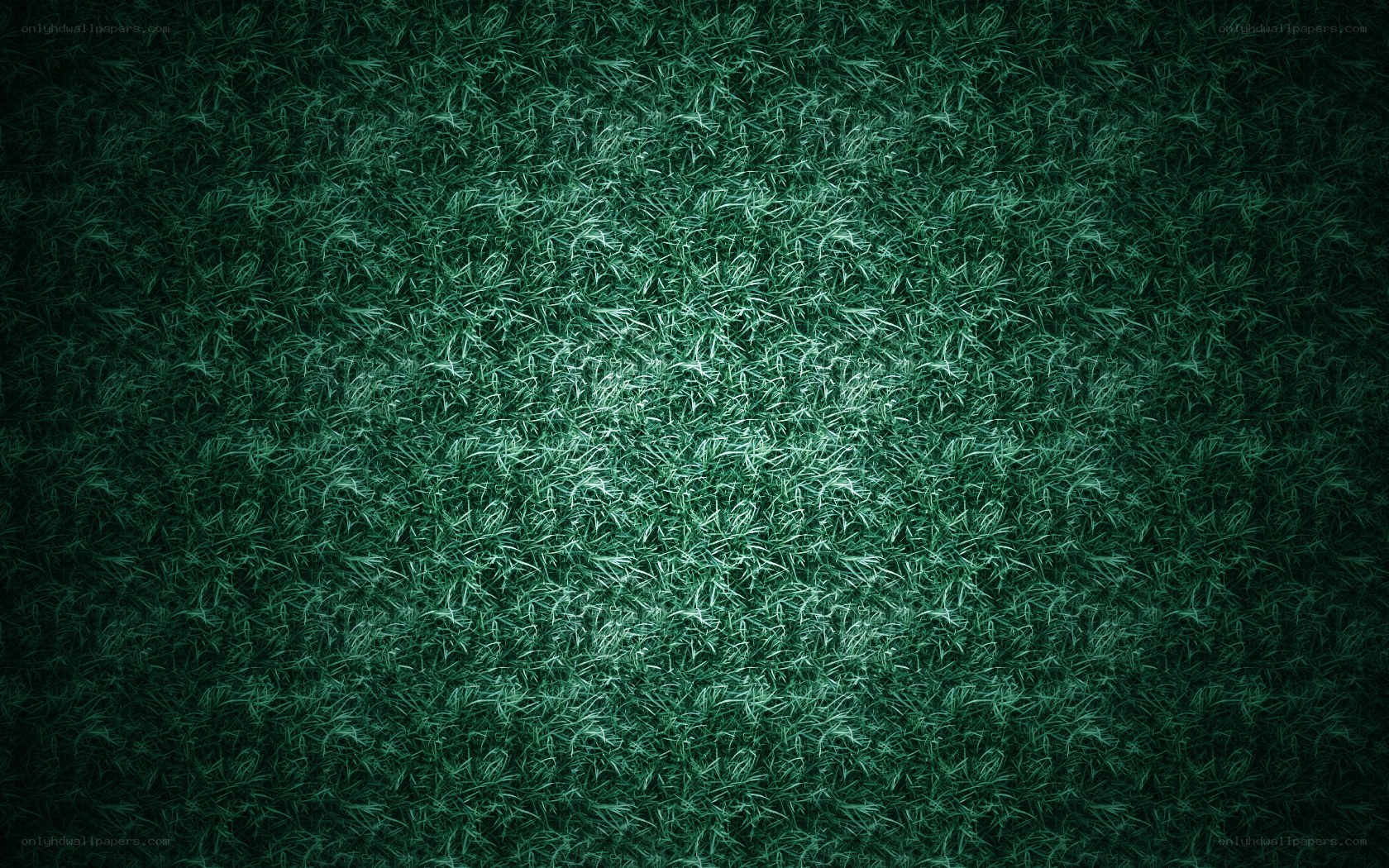 dark green grass texture