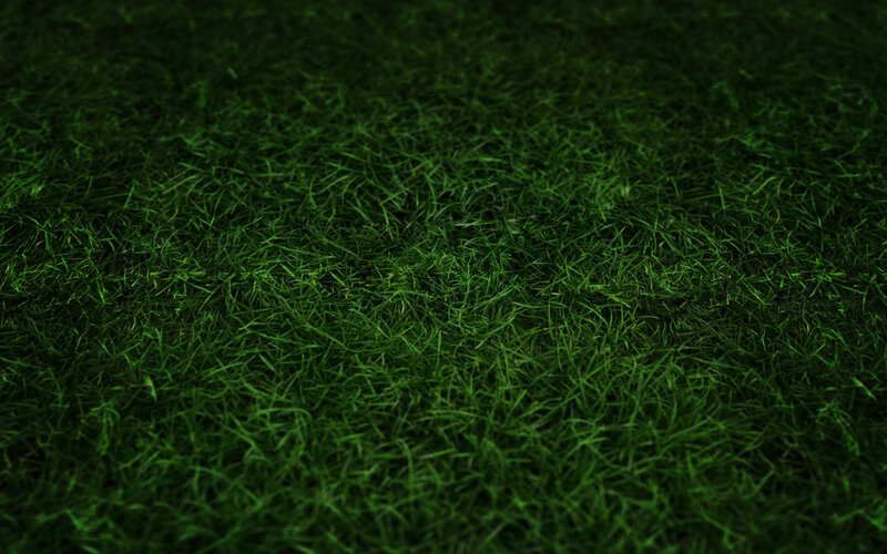 dark green grass texture
