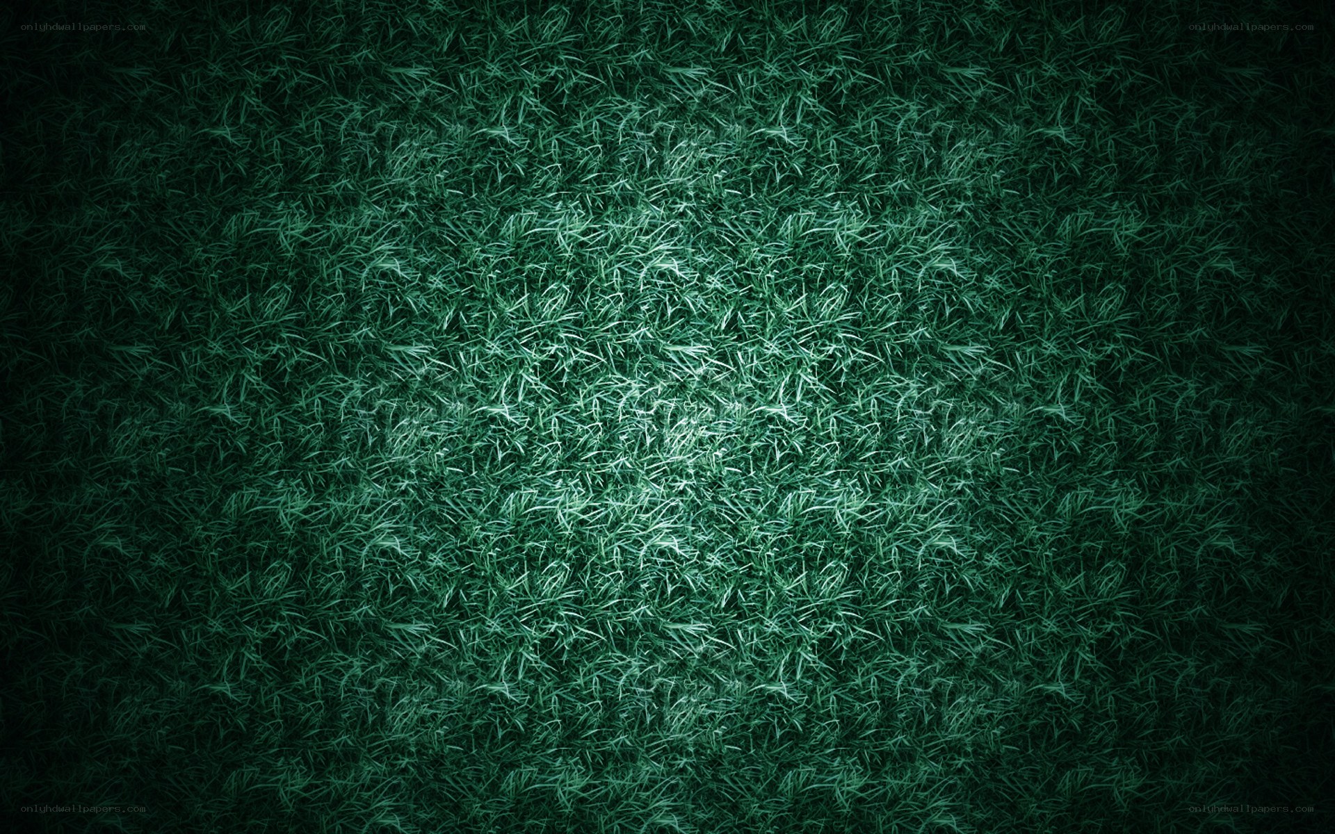 dark green grass texture