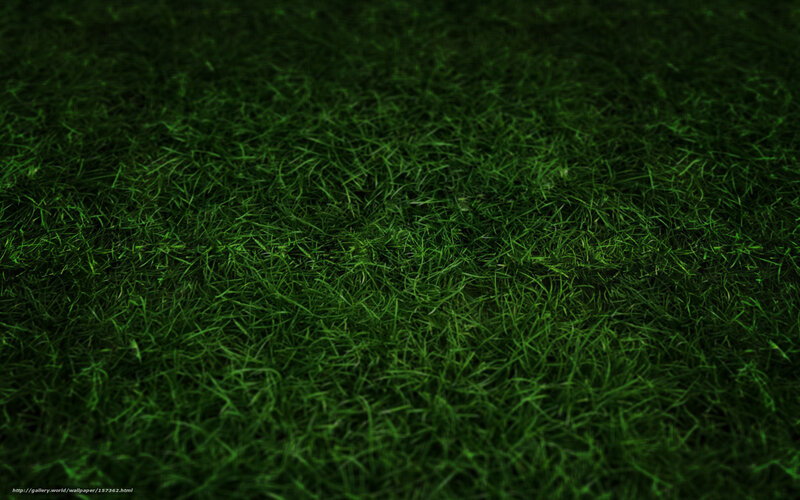 dark green grass texture