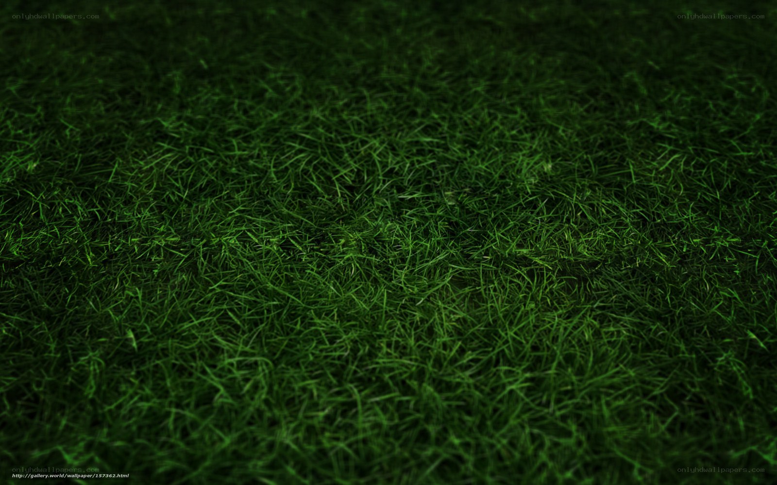 dark green grass texture