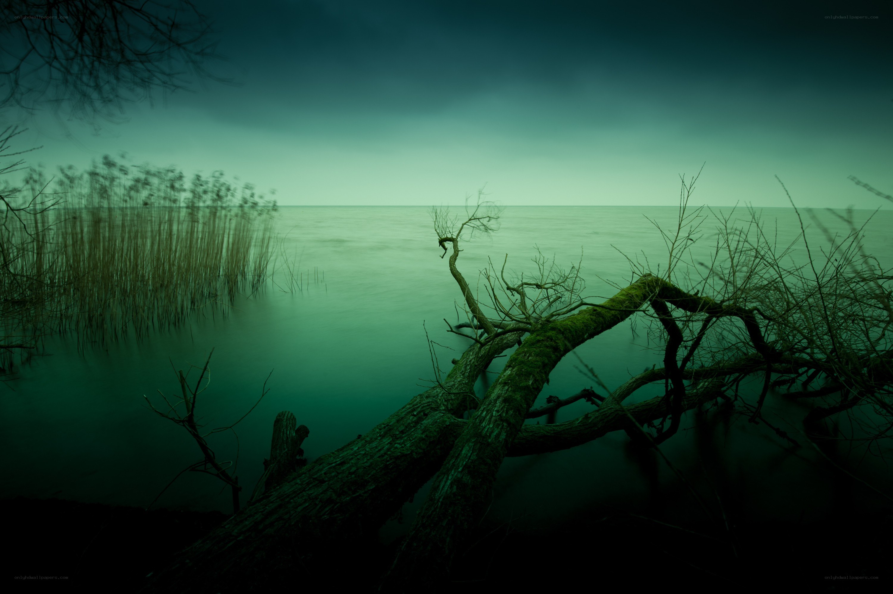 Dark green lake at dusk