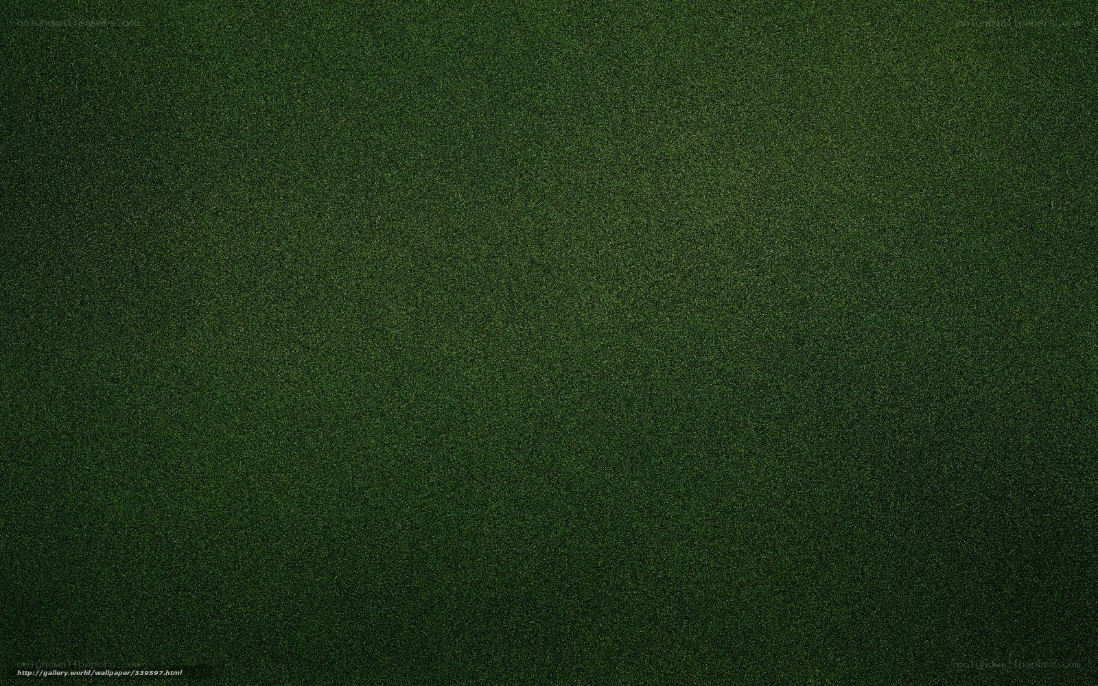 dark green textured background