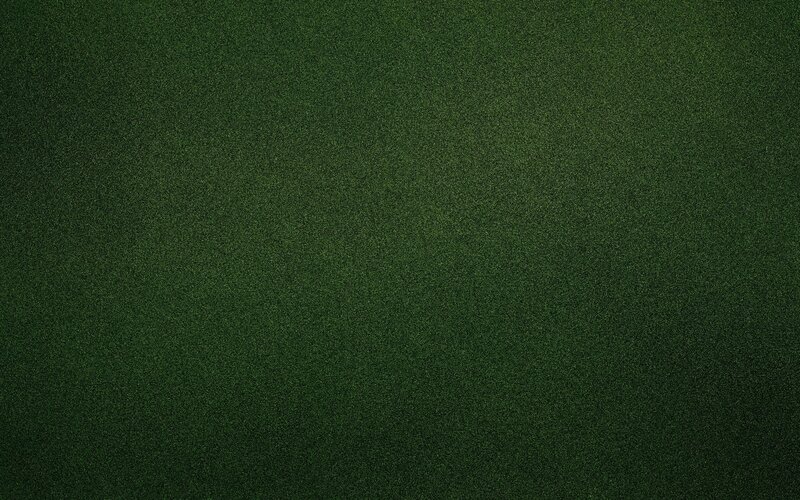 Dark Green Textured Surface — Neutral