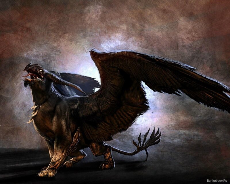 dark griffin creature