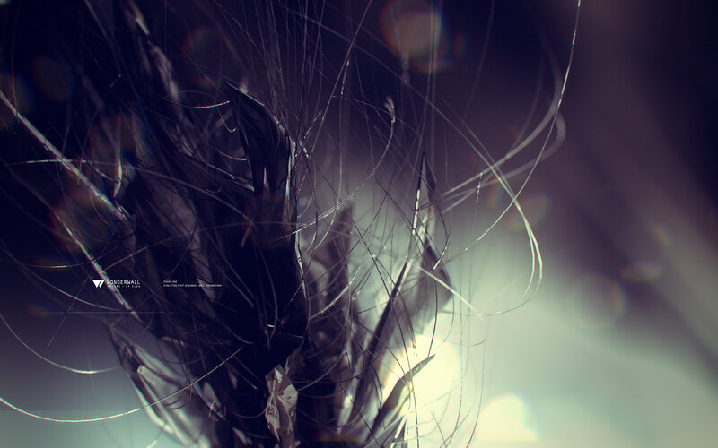 Dark Hair Strands