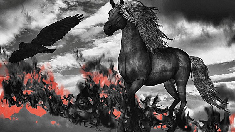Dark horse and crow in storm