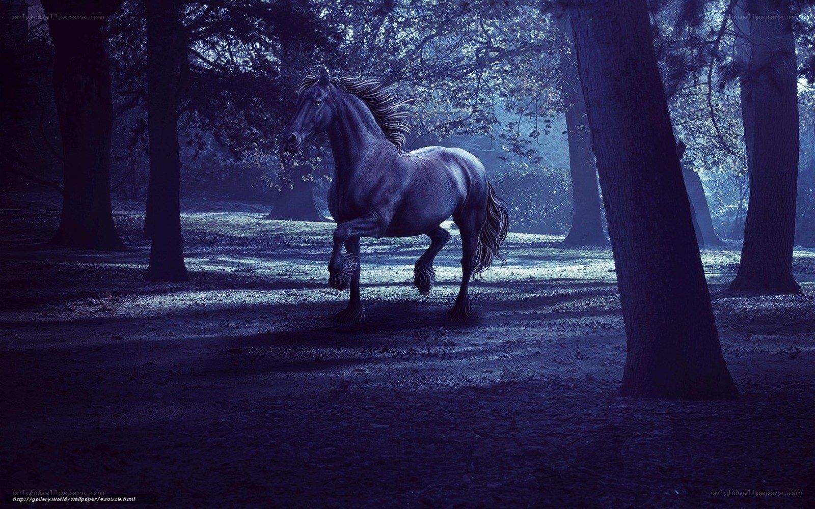 Dark horse in a forest