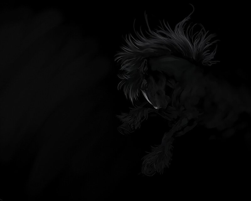 dark horse in motion