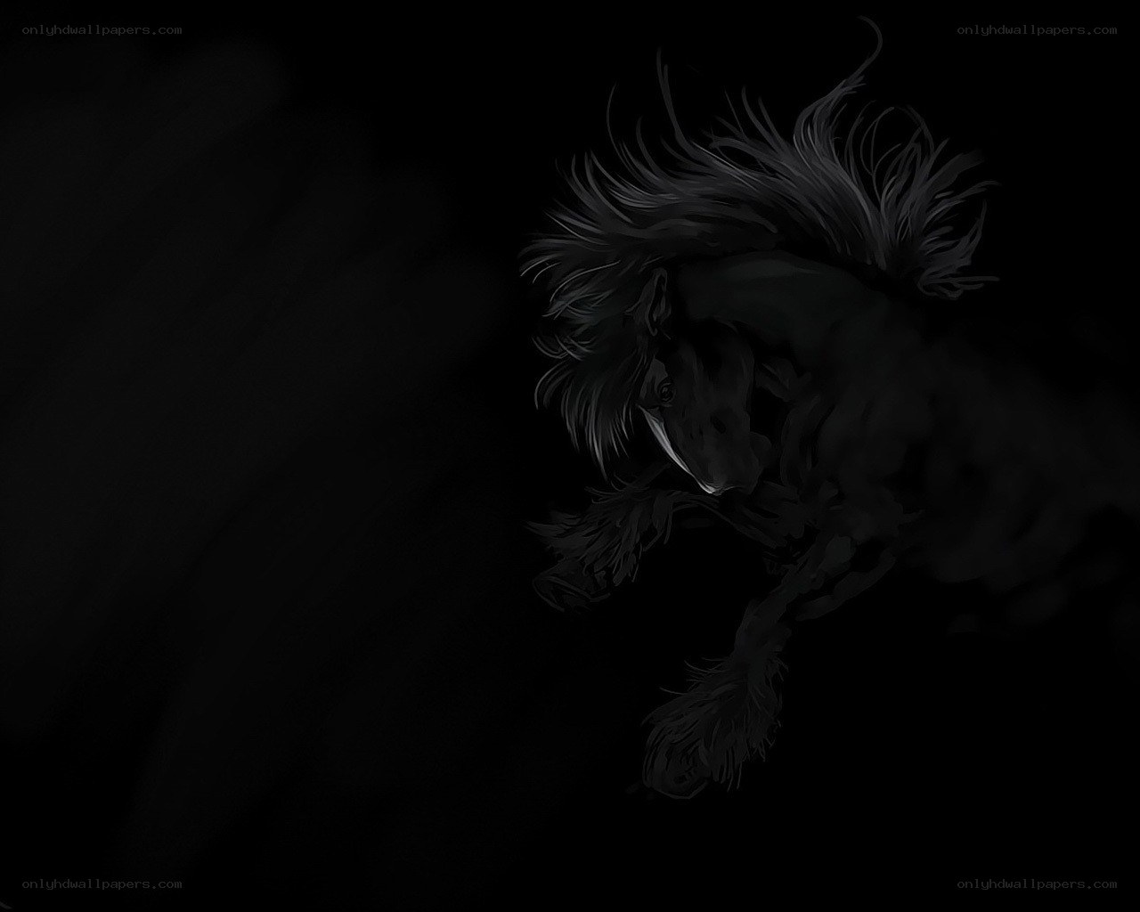 dark horse in motion