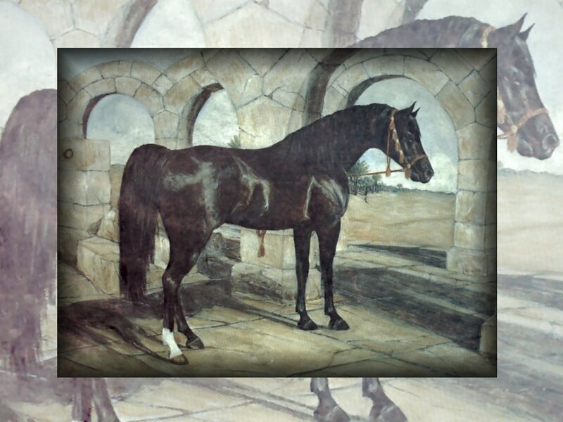Dark Horse in Stable