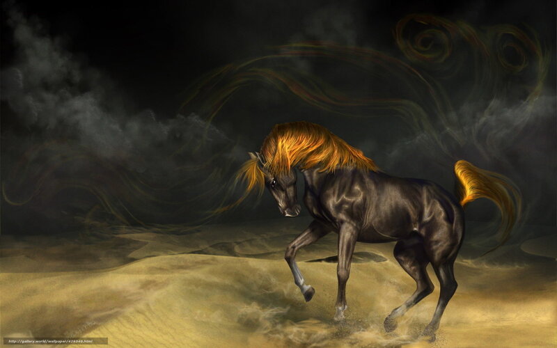 Dark horse in stormy desert