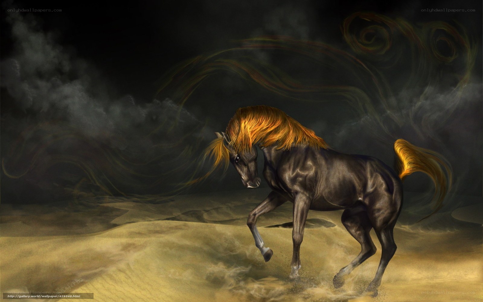 Dark horse in stormy desert