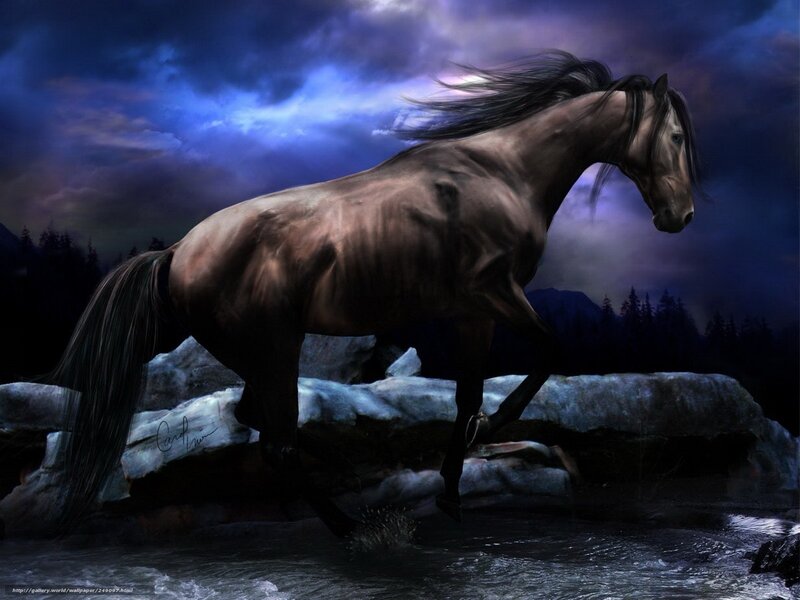 Dark horse in stormy night