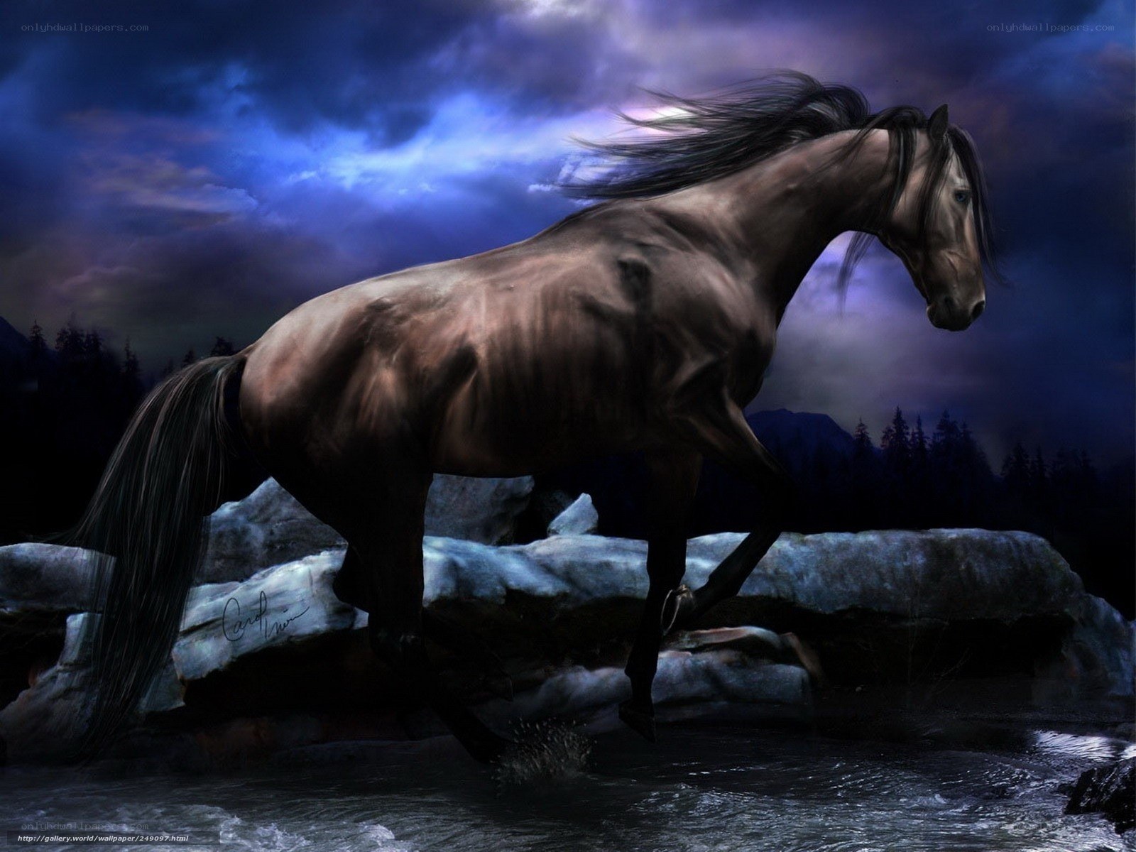 Dark horse in stormy night