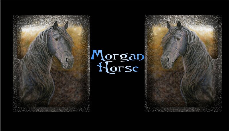 Dark Horse Portrait