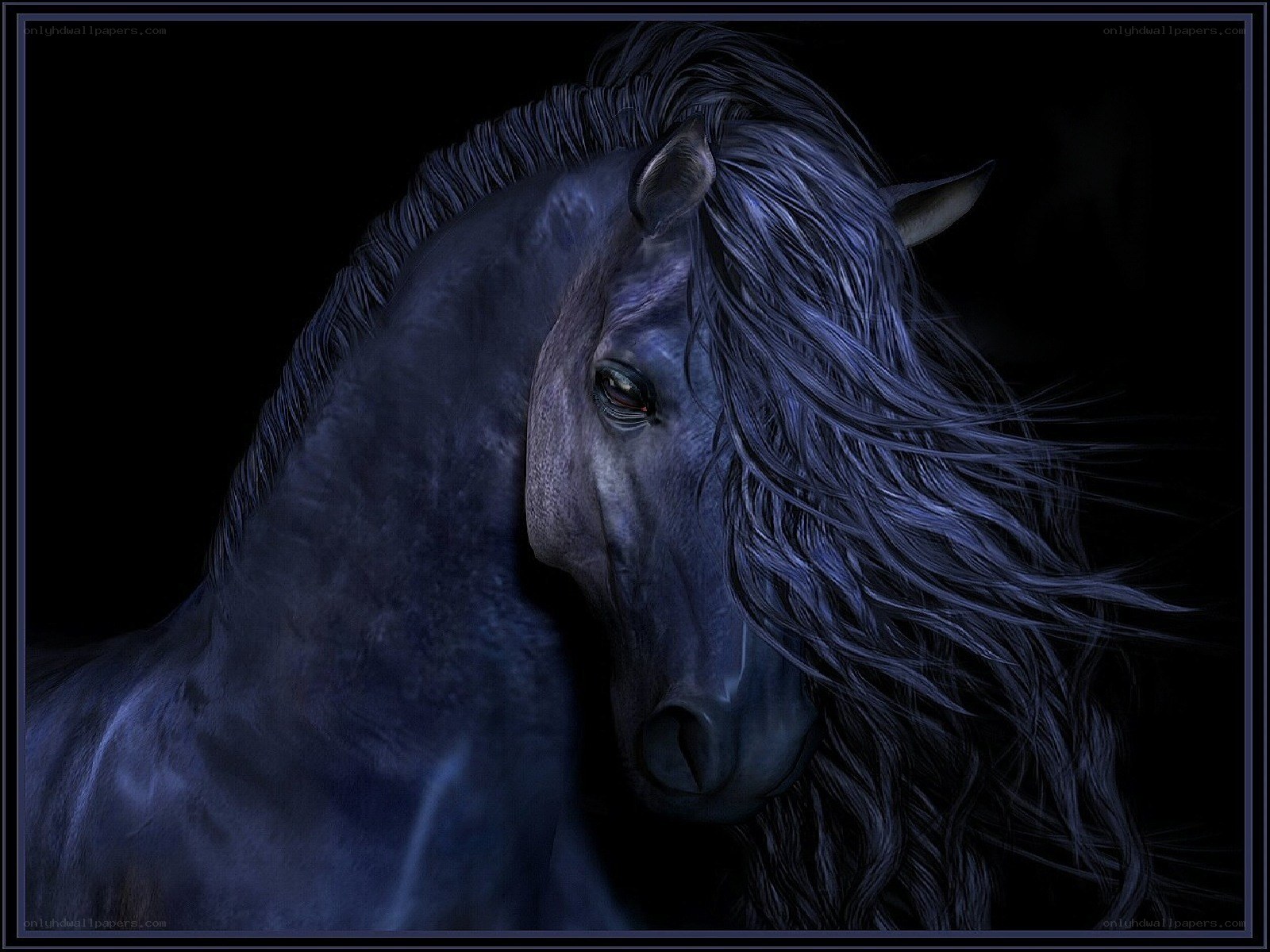 dark horse with flowing mane
