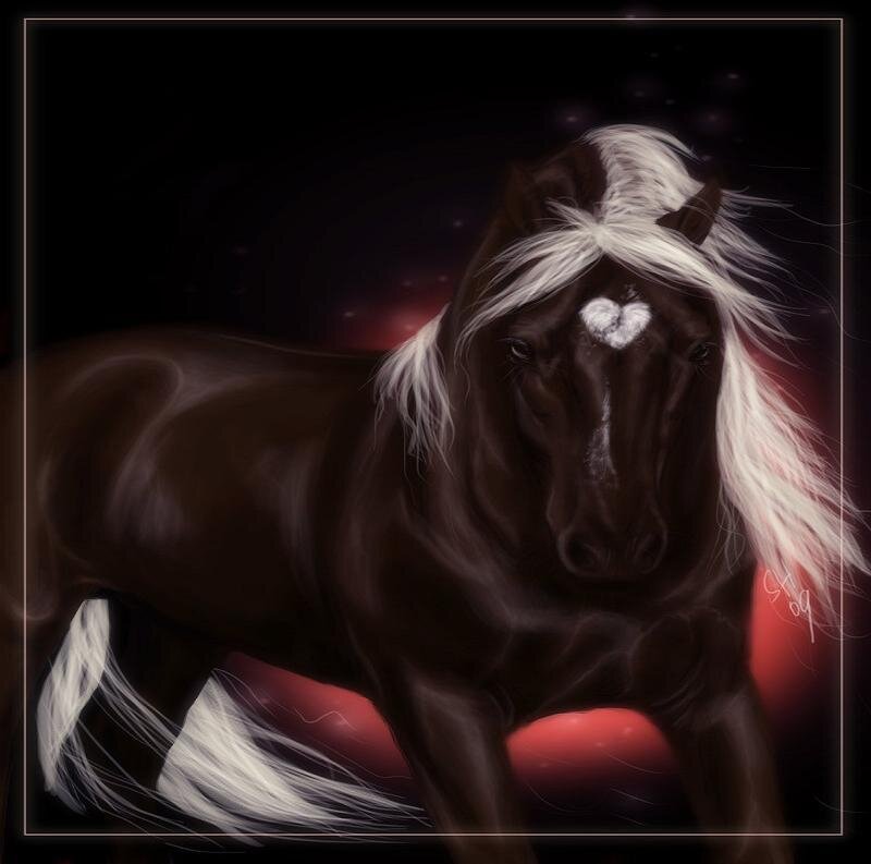 Dark horse with white mane