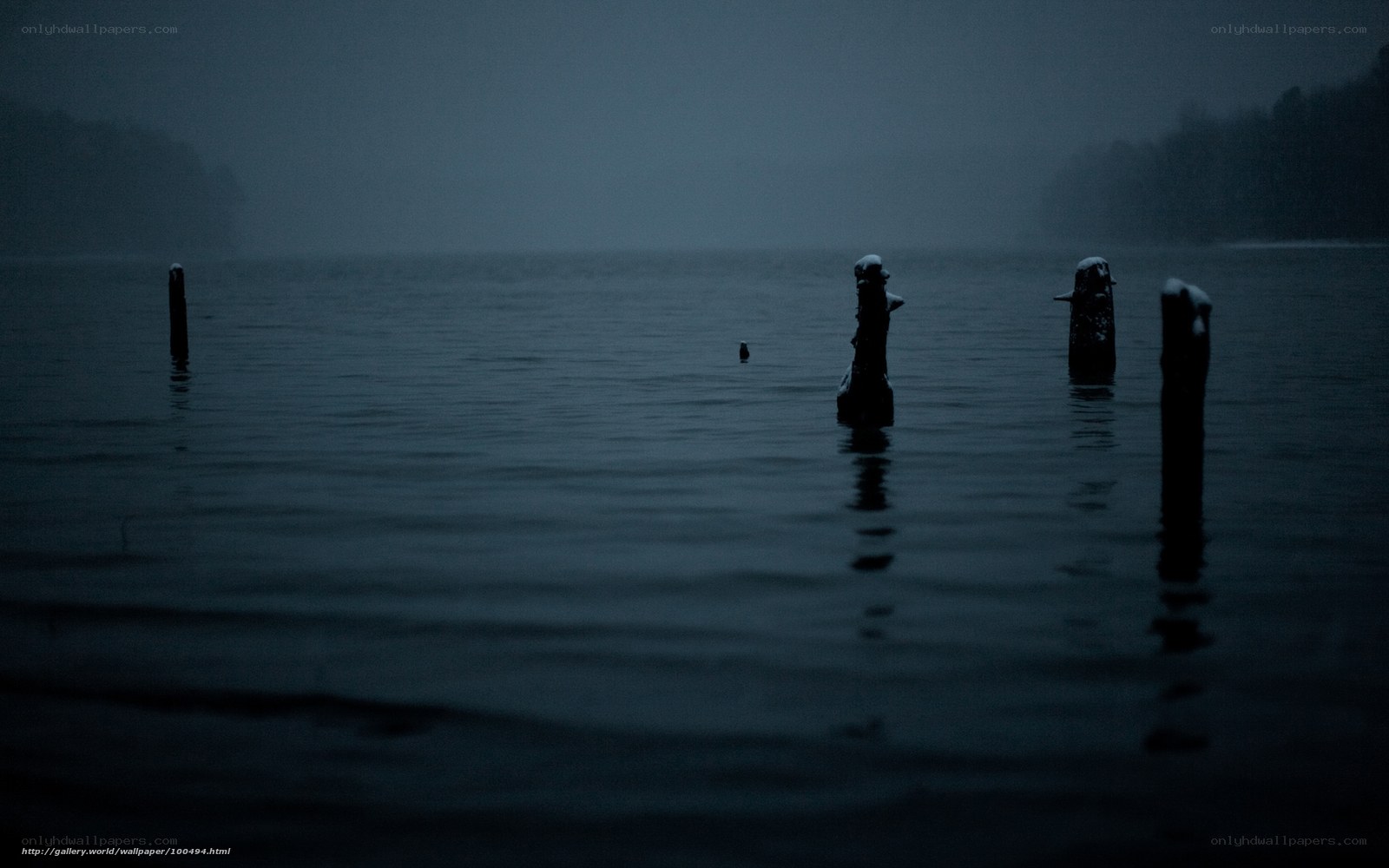 dark lake at night