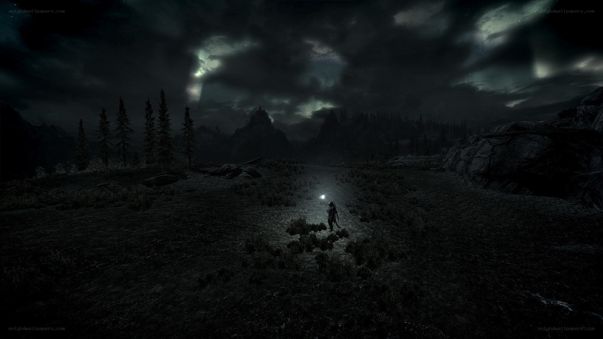 dark landscape at night