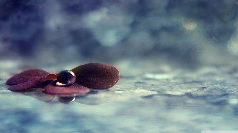 Dark Leaf with Water Droplet — Blue
