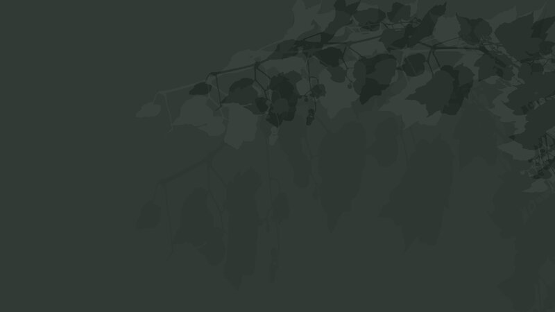 dark leafy silhouette