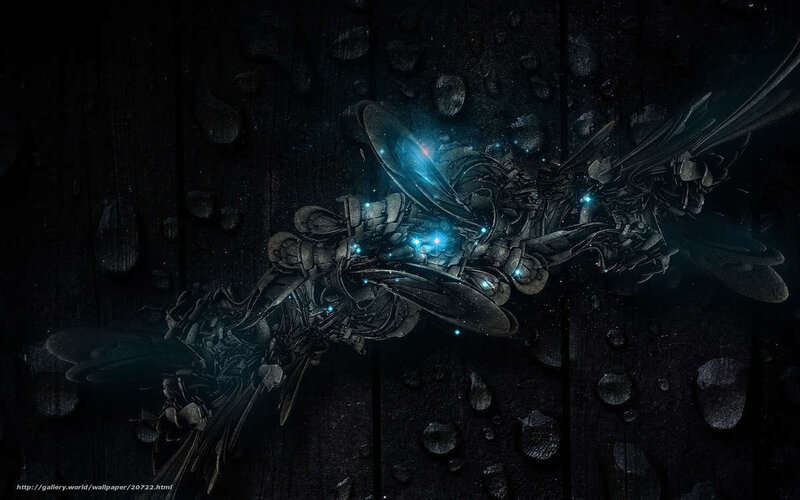 dark mechanical insect