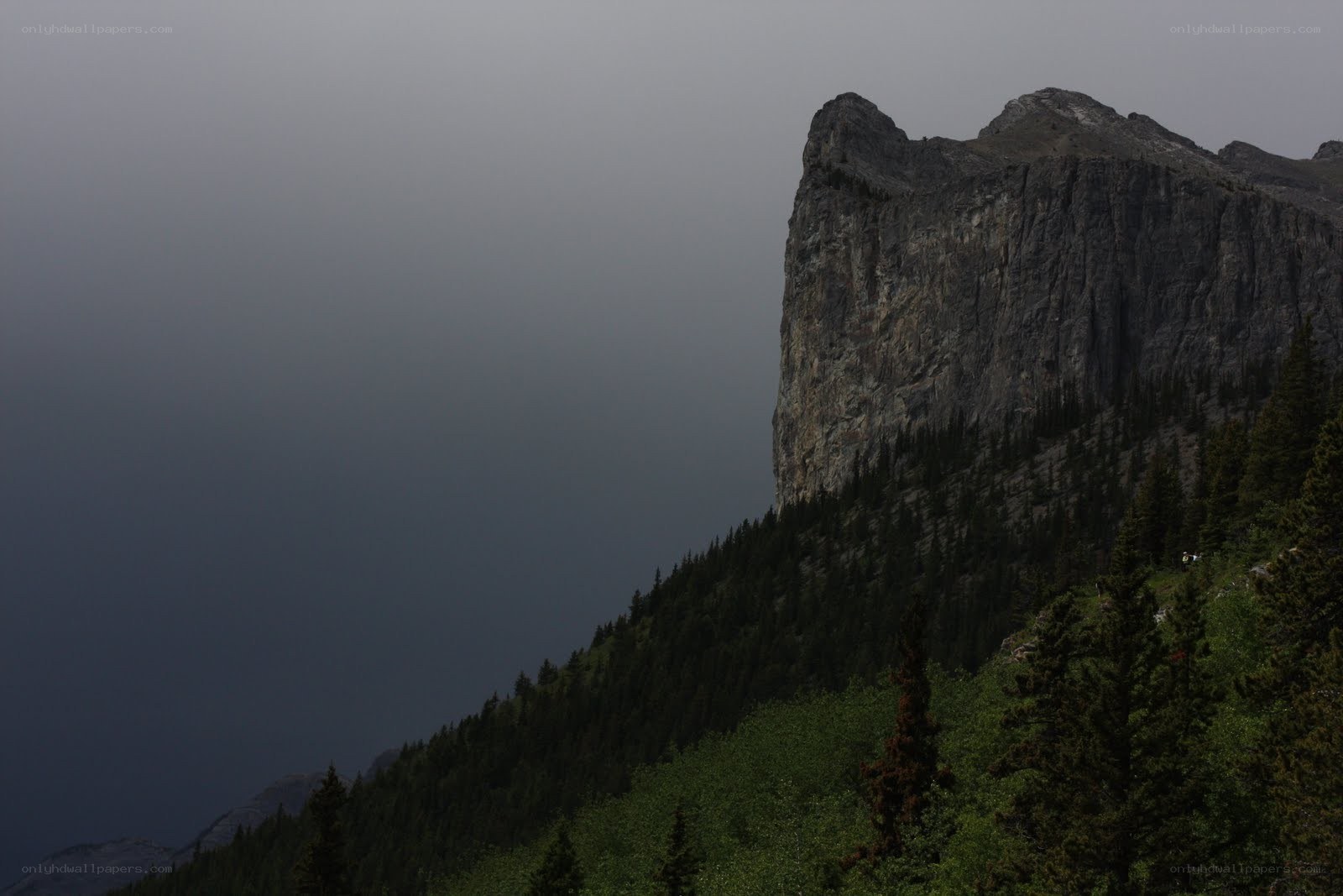 Dark mountain cliff in fog