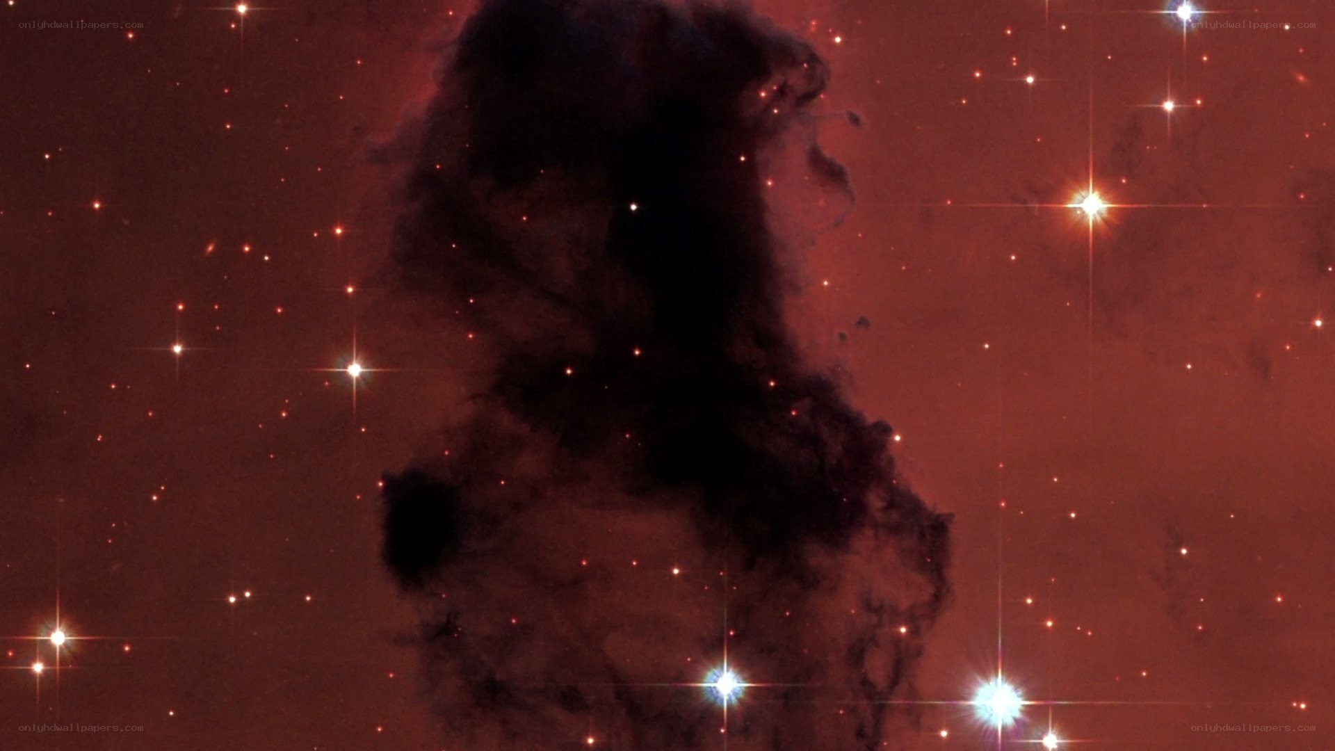 Dark nebula in star field