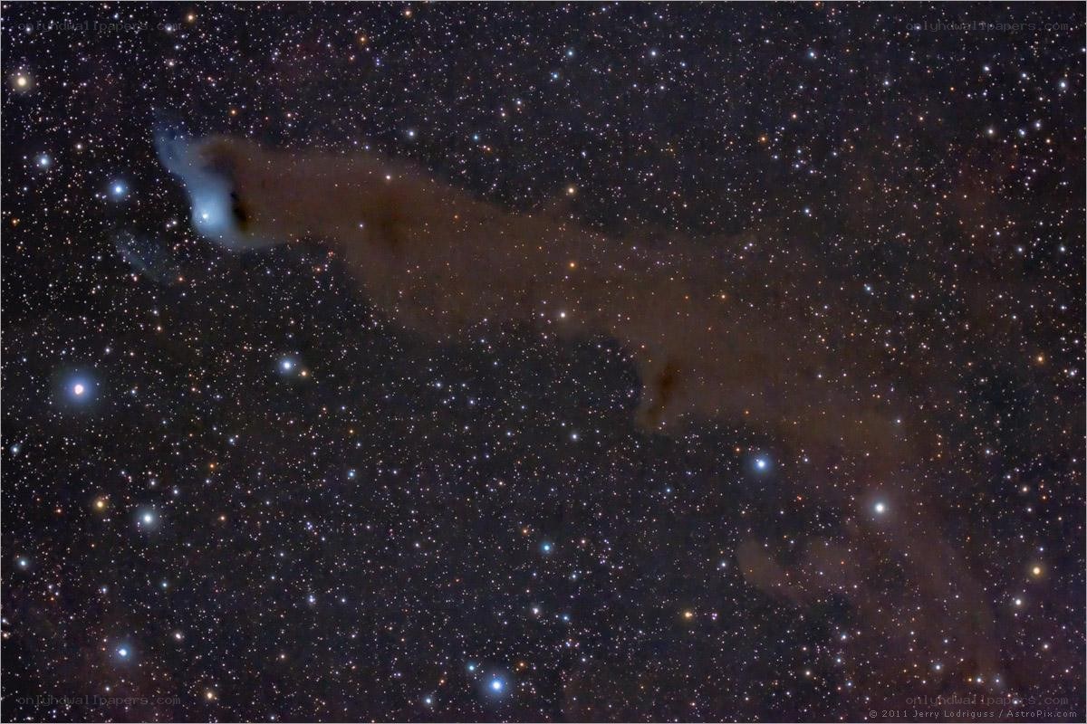 Dark nebula in starfield