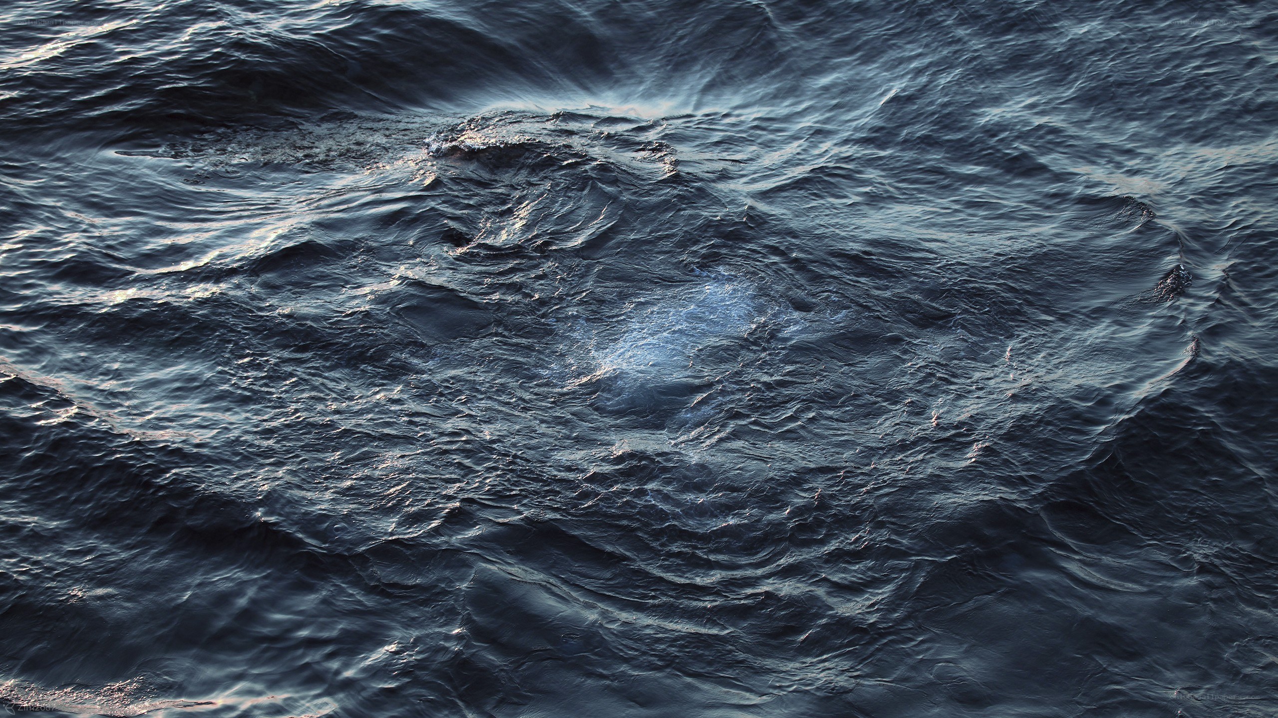 dark ocean waves at dusk