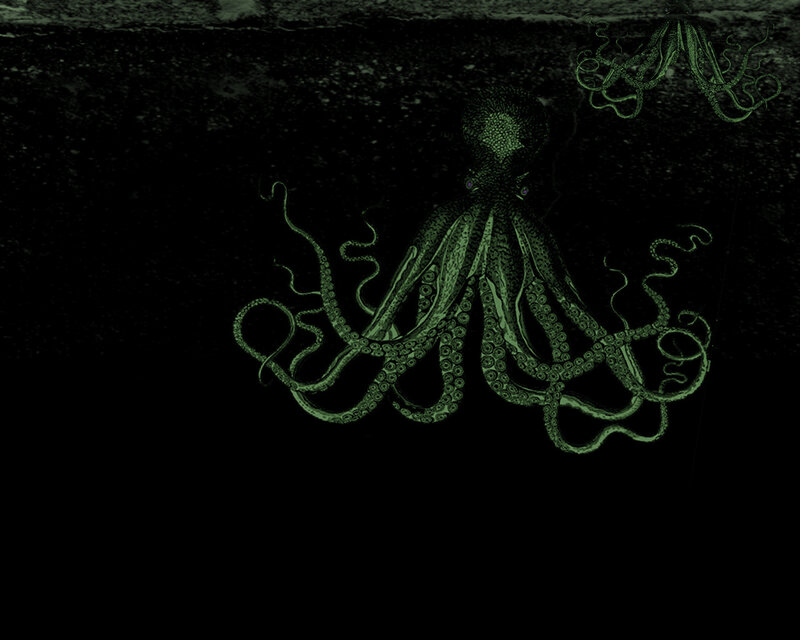 dark octopus illustration