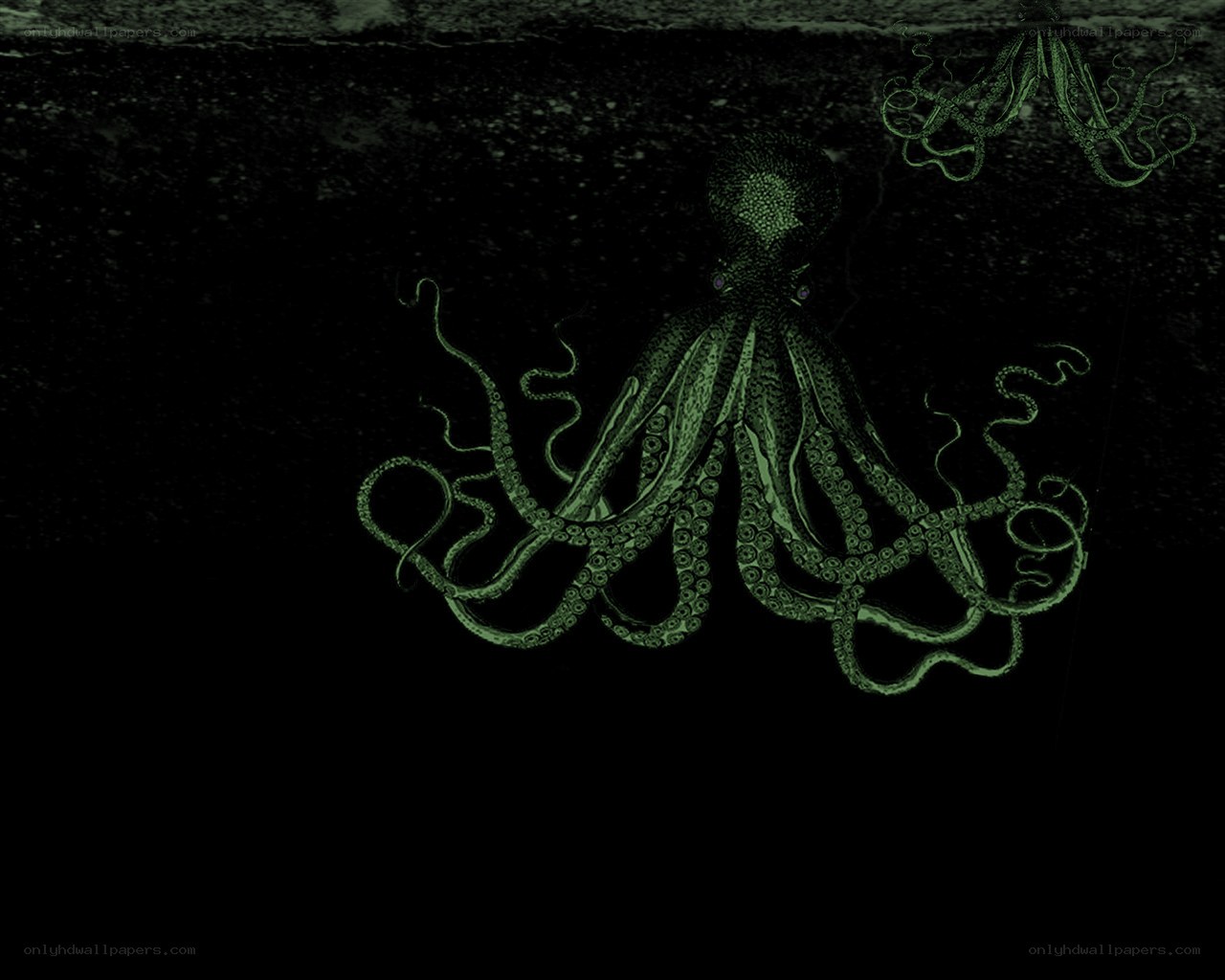 dark octopus illustration