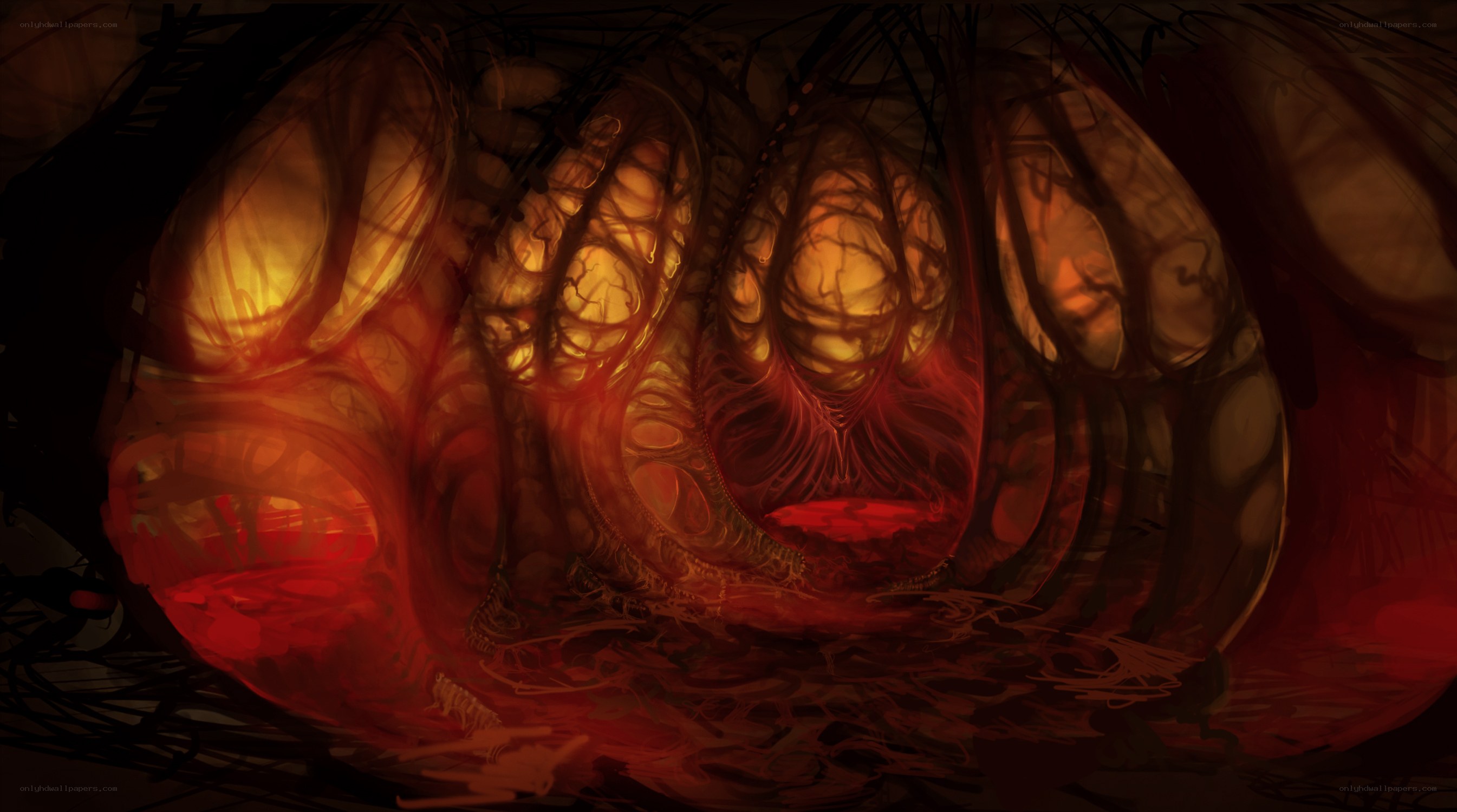 dark organic tunnel