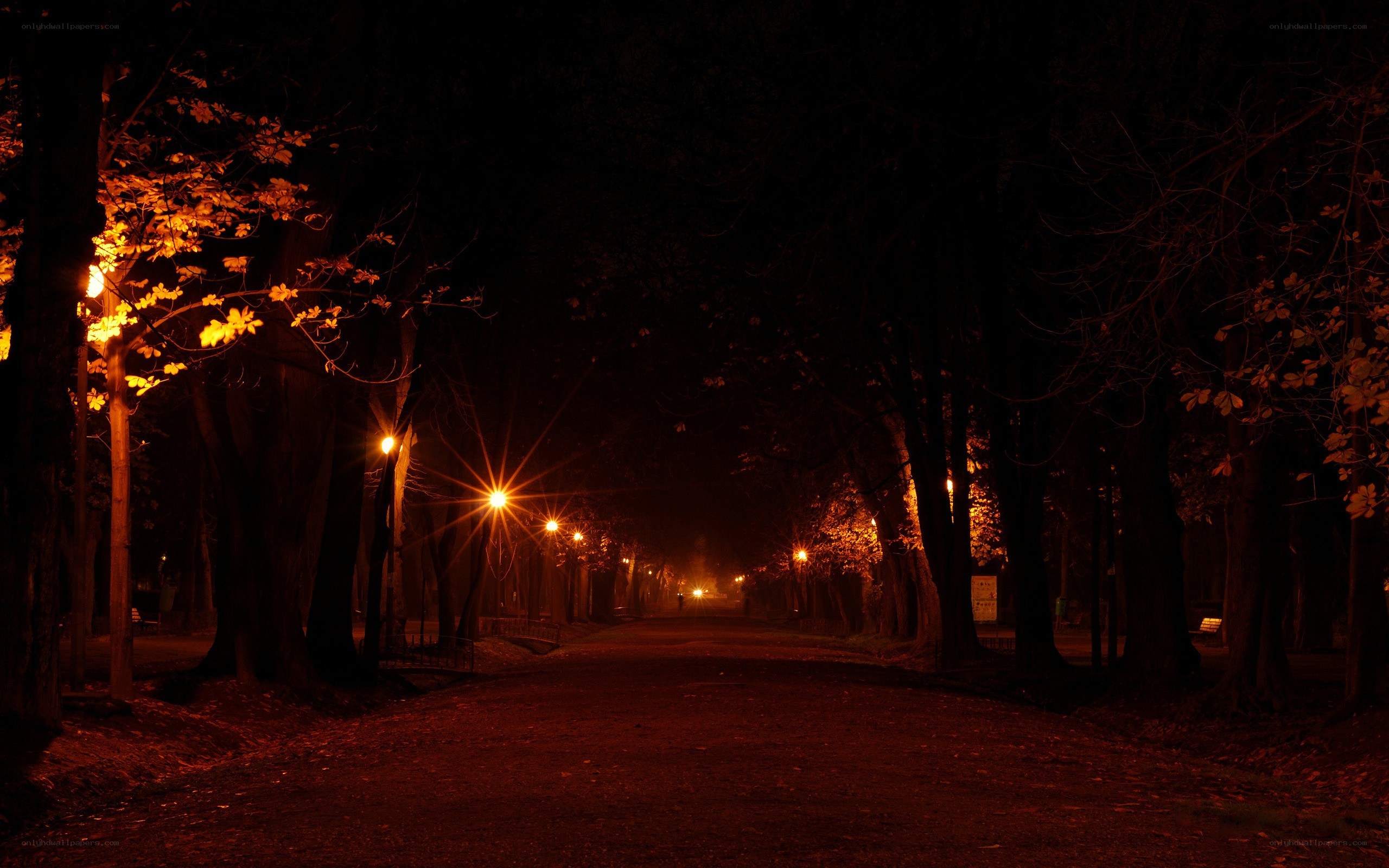 Dark path at night in a park