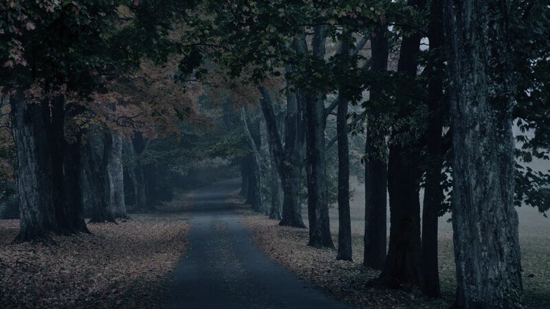 Dark path through autumn forest