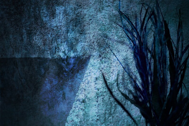 Dark Plant in Cave